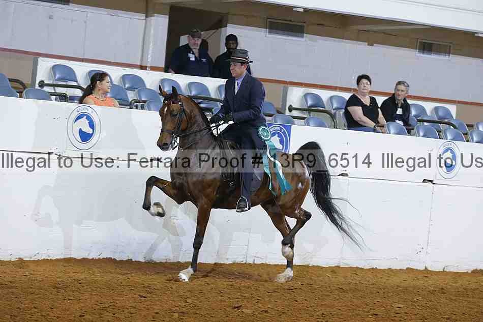Proof 13r9_6514