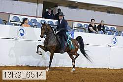 13r9_6514 proof