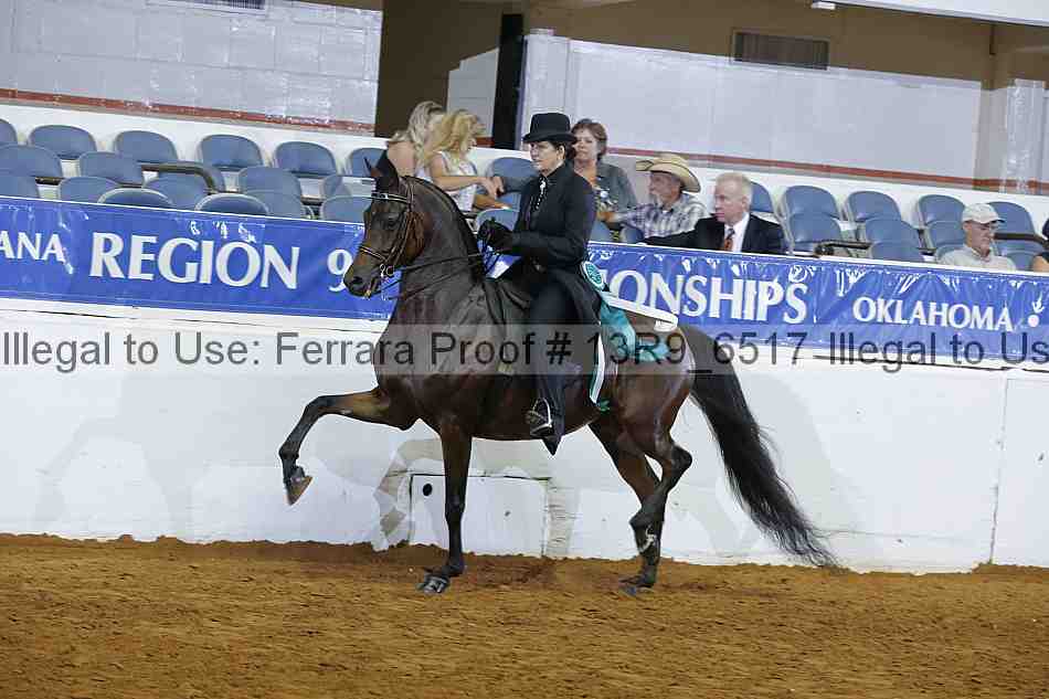Proof 13r9_6517