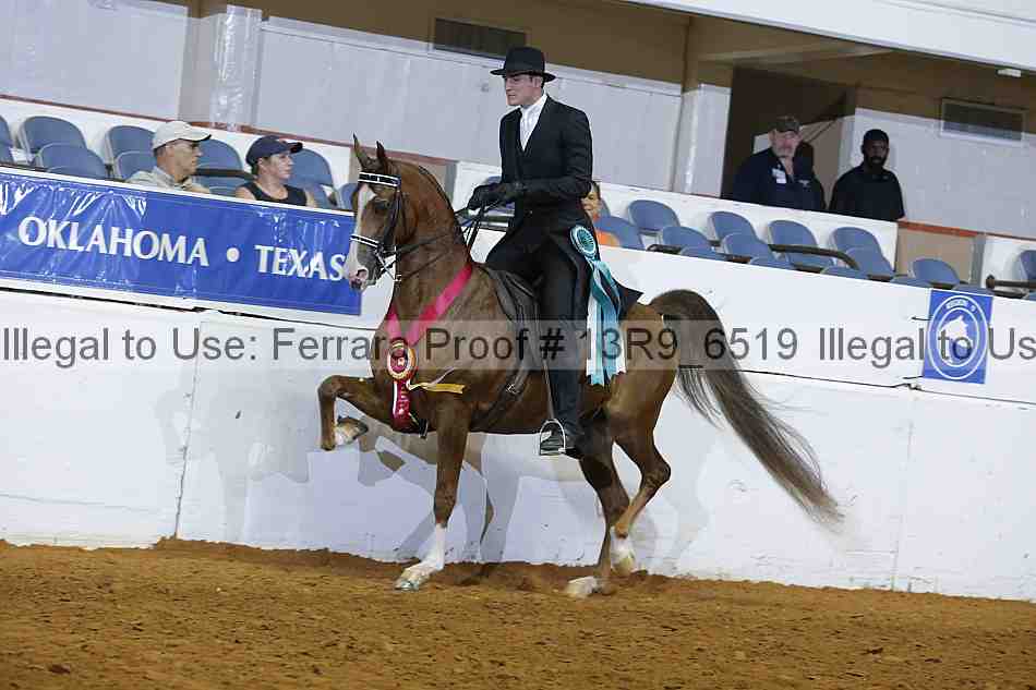 Proof 13r9_6519