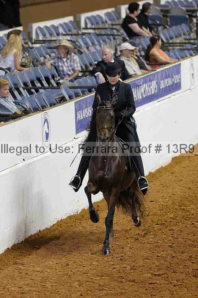 Proof 13r9_6520