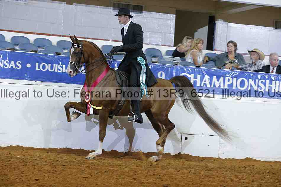 Proof 13r9_6521