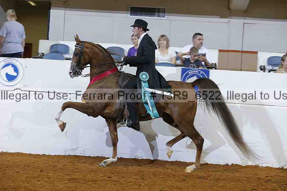 Proof 13r9_6522