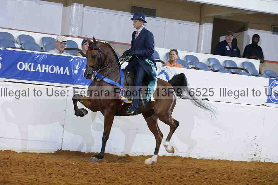 Proof 13r9_6525