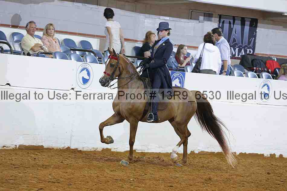 Proof 13r9_6530