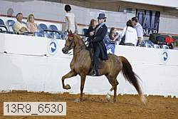13r9_6530 proof