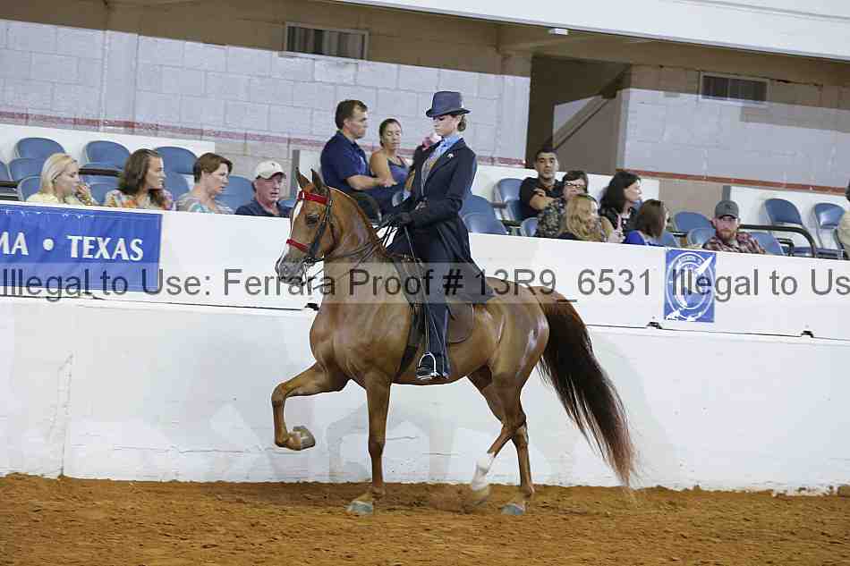 Proof 13r9_6531