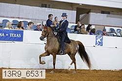 13r9_6531 proof