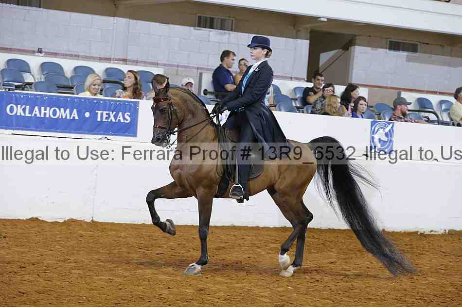 Proof 13r9_6532
