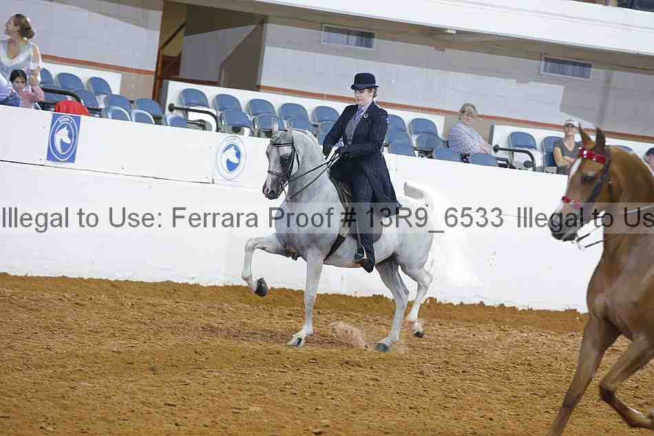 Proof 13r9_6533