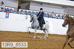 13r9_6533 proof