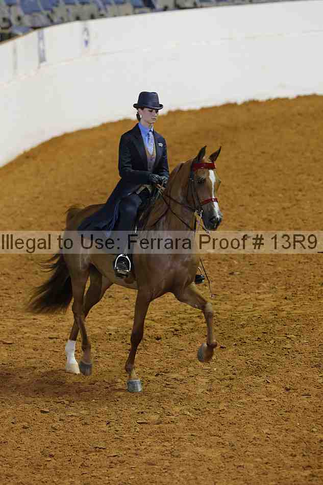 Proof 13r9_6534