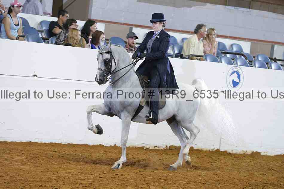 Proof 13r9_6535