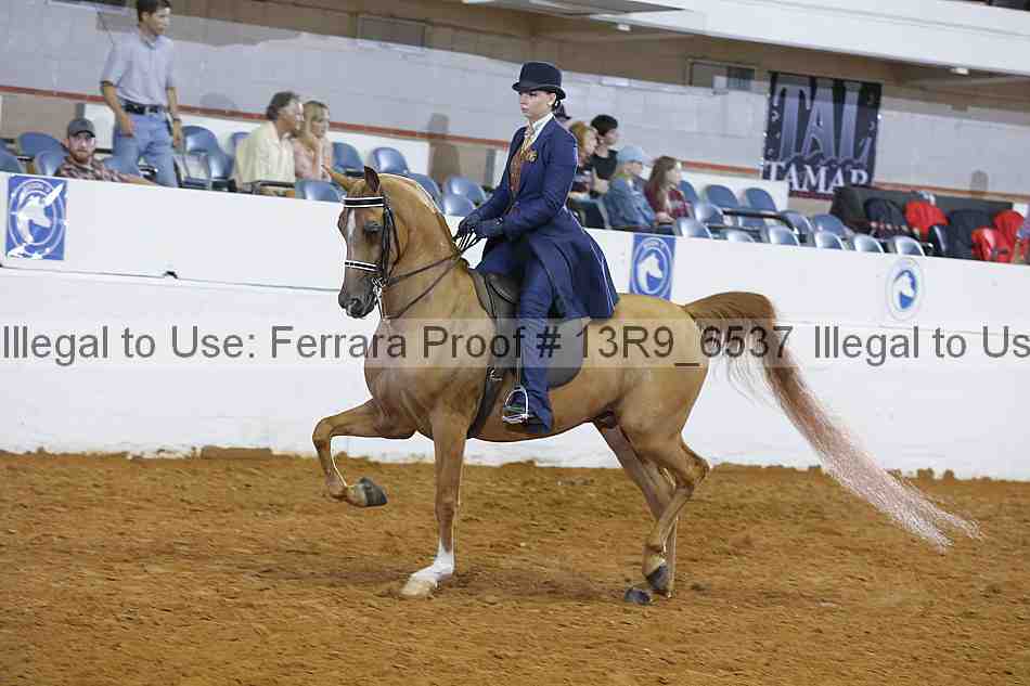 Proof 13r9_6537