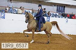 13r9_6537 proof