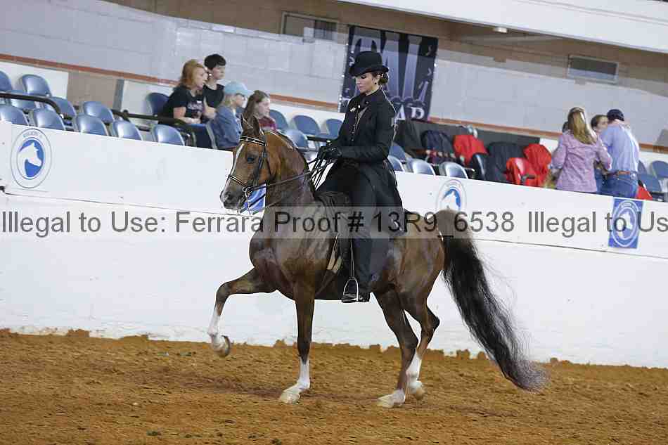 Proof 13r9_6538