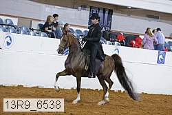 13r9_6538 proof