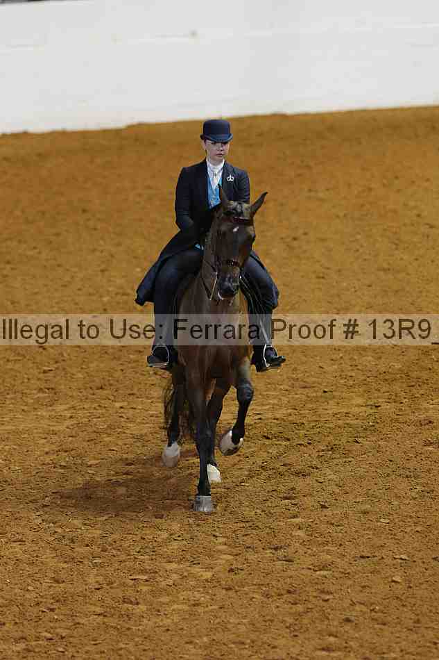 Proof 13r9_6539