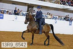 13r9_6542 proof
