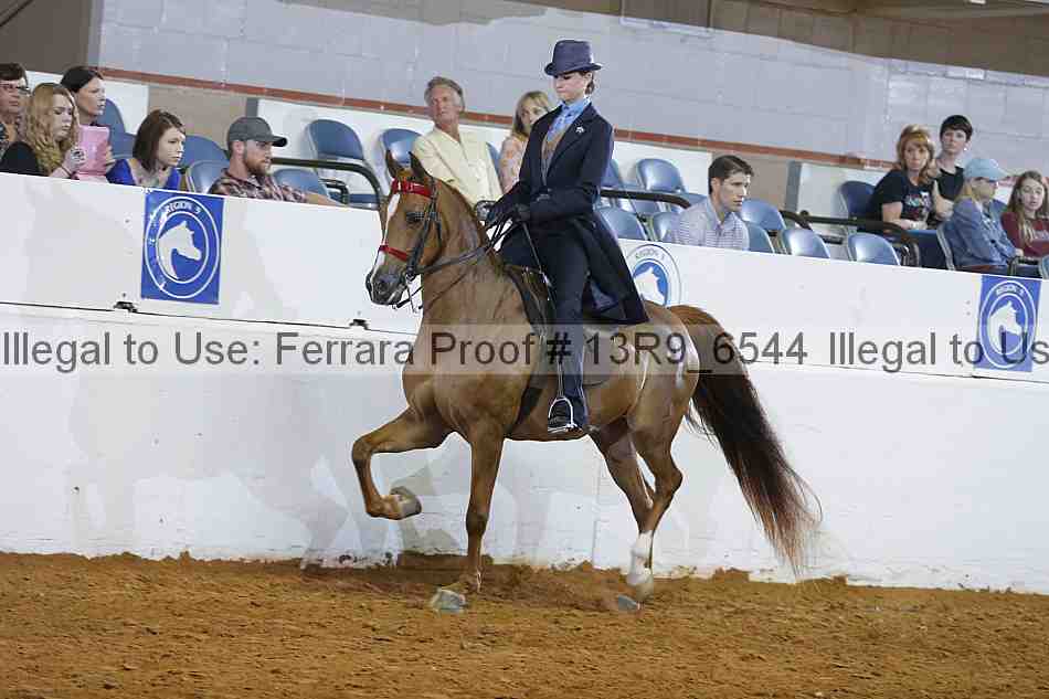 Proof 13r9_6544