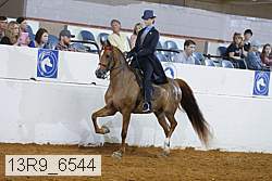 13r9_6544 proof
