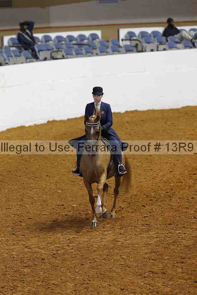 Proof 13r9_6545