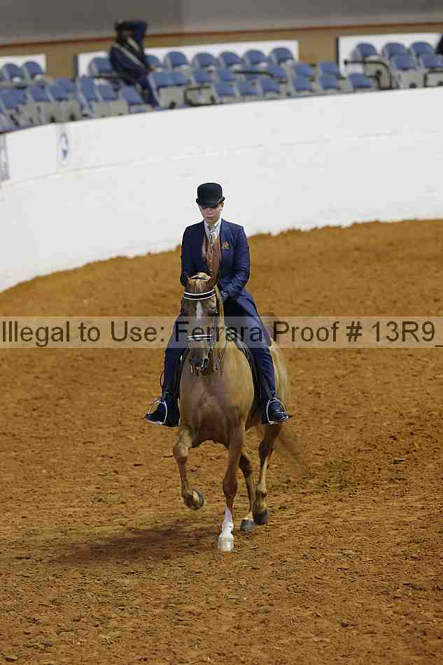 Proof 13r9_6546
