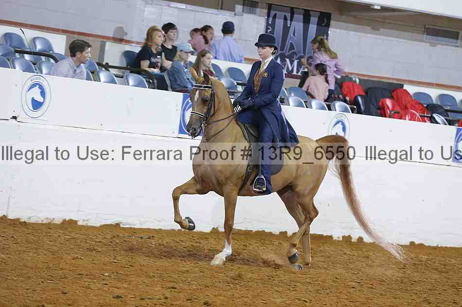 Proof 13r9_6550