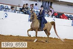13r9_6550 proof