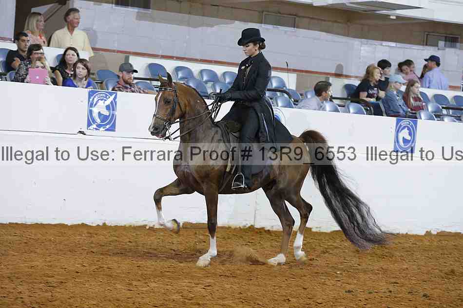 Proof 13r9_6553