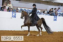 13r9_6553 proof