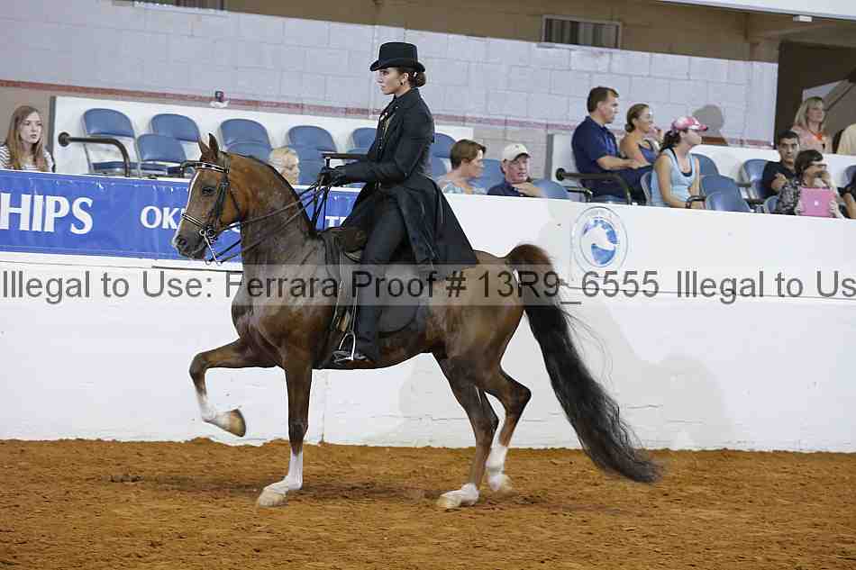 Proof 13r9_6555