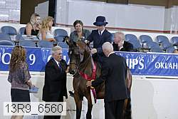 13r9_6560 proof