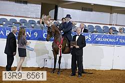 13r9_6561 proof