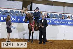 13r9_6562 proof