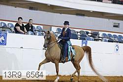 13r9_6564 proof