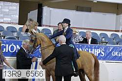 13r9_6566 proof