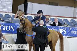 13r9_6567 proof