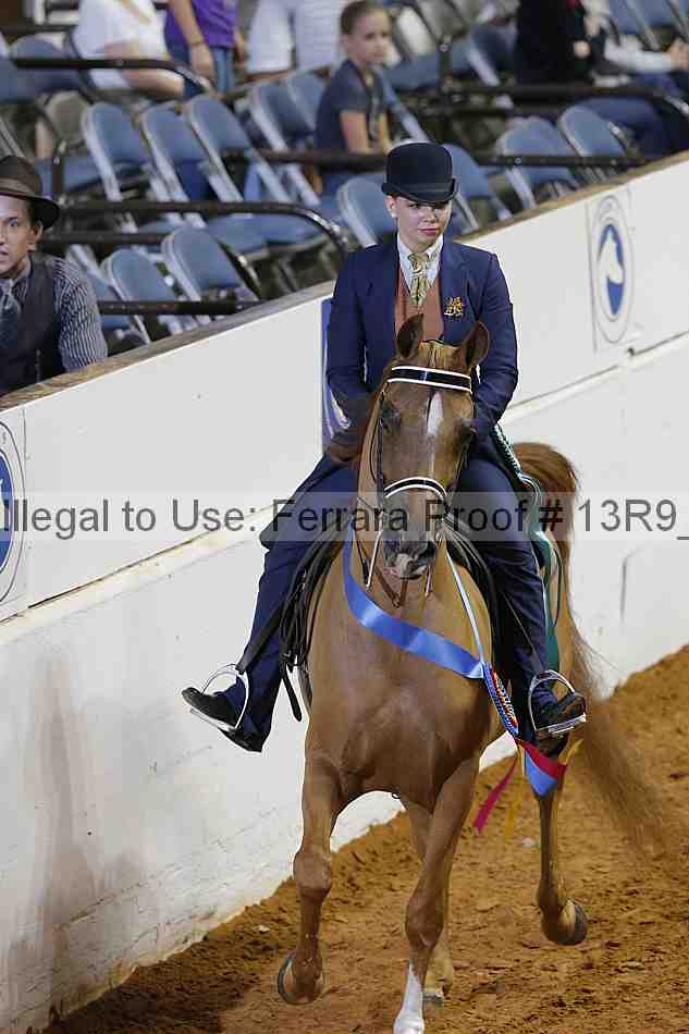 Proof 13r9_6570