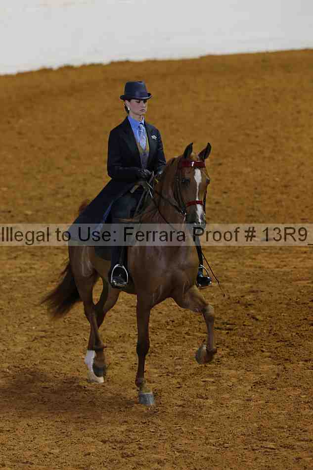 Proof 13r9_6573