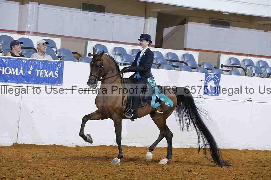 Proof 13r9_6575