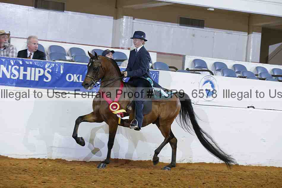 Proof 13r9_6578