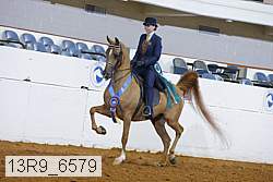 13r9_6579 proof