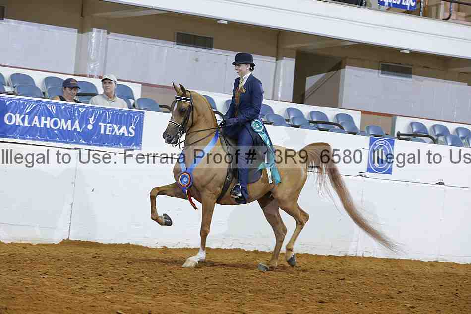 Proof 13r9_6580
