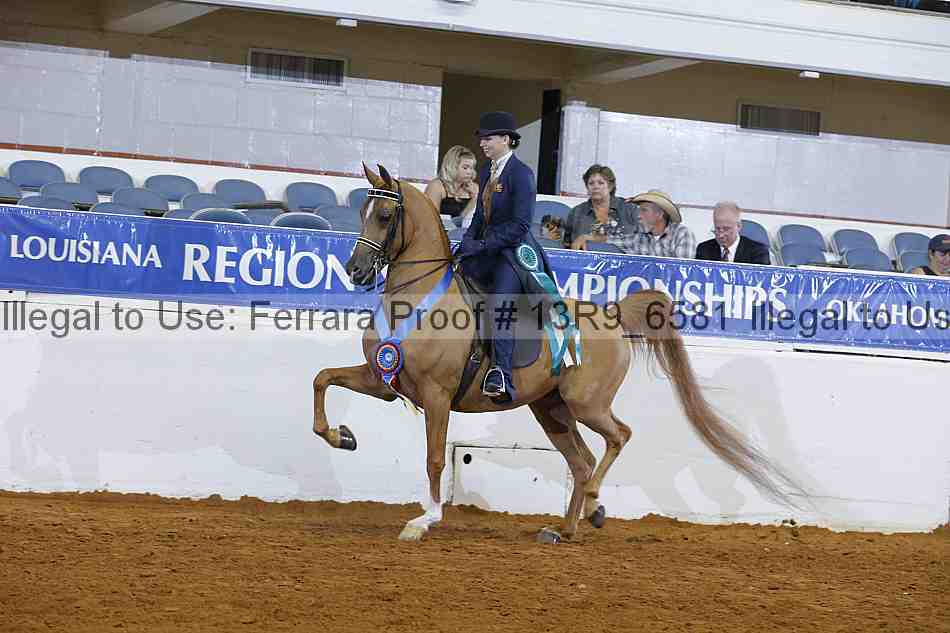 Proof 13r9_6581