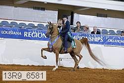 13r9_6581 proof