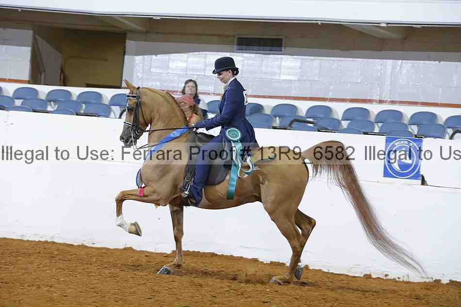 Proof 13r9_6582