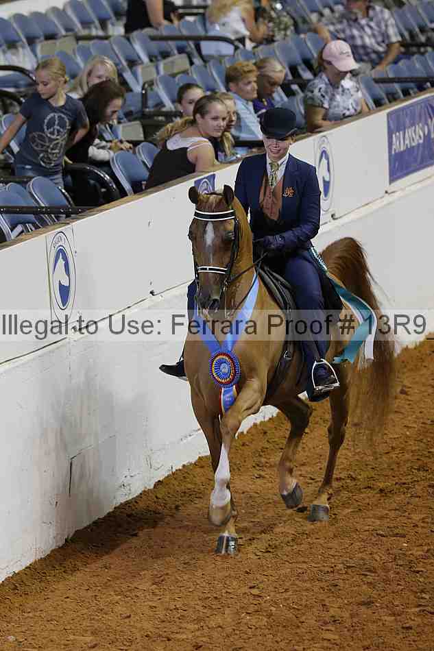Proof 13r9_6584