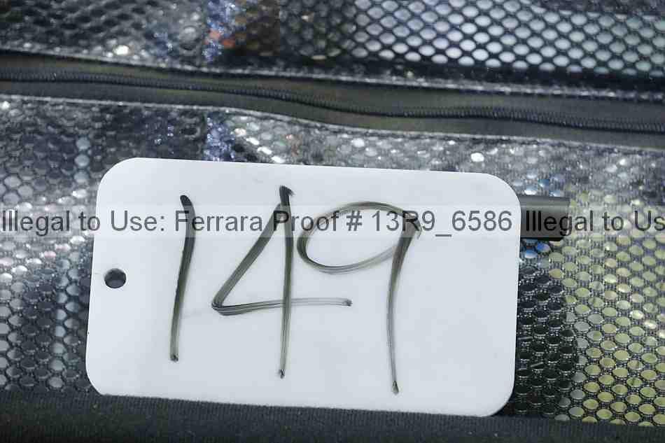 Proof 13r9_6586