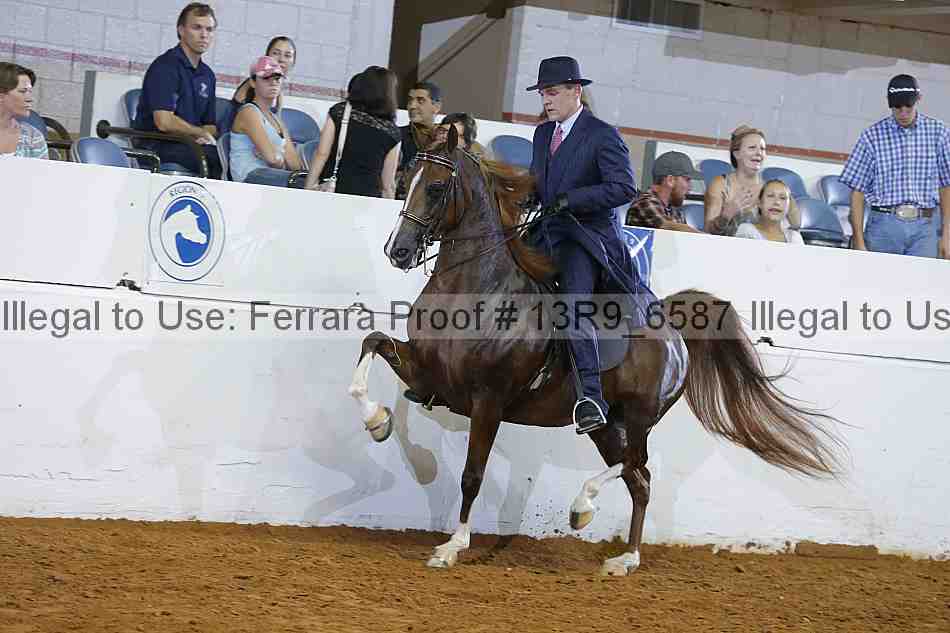 Proof 13r9_6587